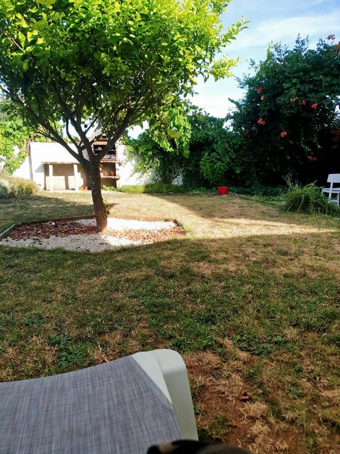 Estudio Tanner Apartment Pedrogao Grande